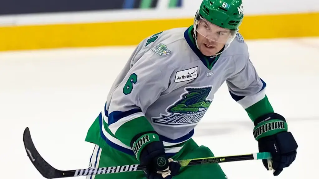 Ice hockey player skating with stick